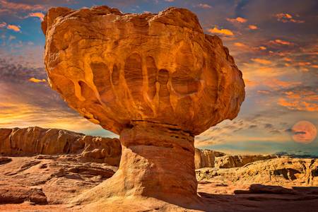 Πέτρινο μανιτάρι