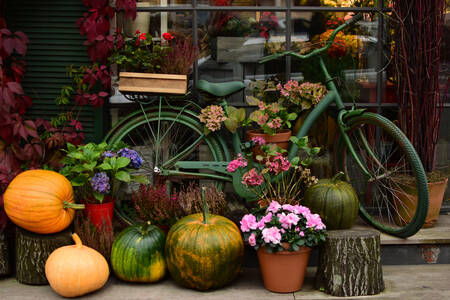 Bicycle, pumpkins and flowers