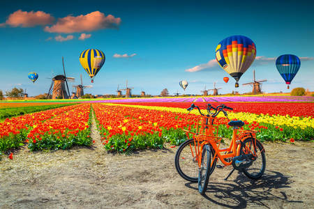 Hot air balloons over the village of Kinderdijk